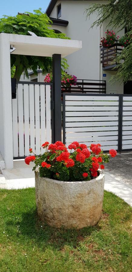 Fiori Apartment Umag Exteriér fotografie